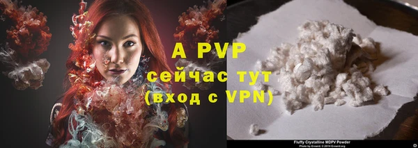 индика Аркадак