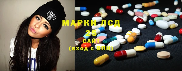 индика Аркадак