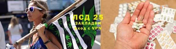 индика Аркадак