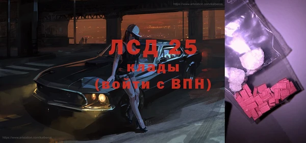 индика Аркадак