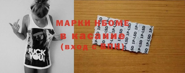 индика Аркадак