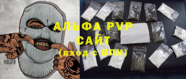 индика Аркадак