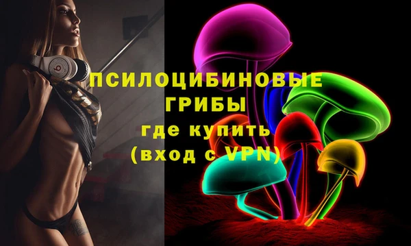 индика Аркадак