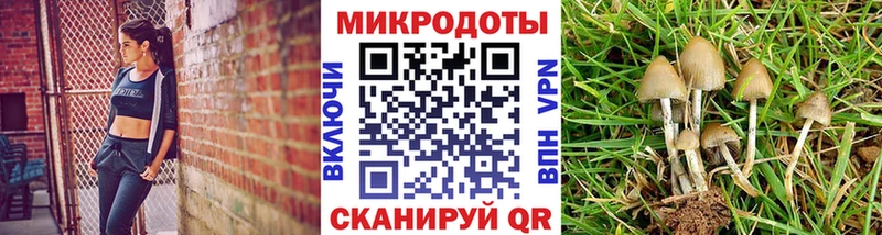 Псилоцибиновые грибы мицелий  Тосно 