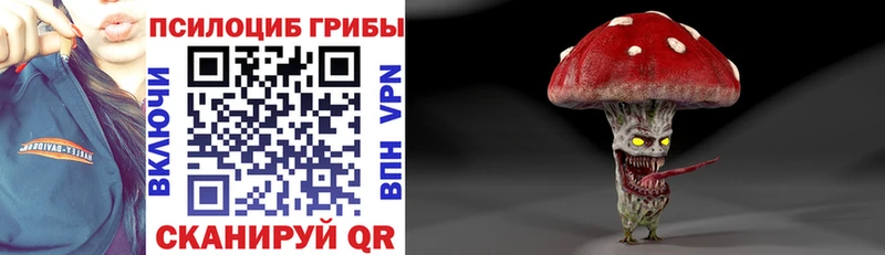 Галлюциногенные грибы Psilocybine cubensis Тосно