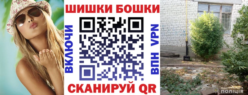 купить закладку  Тосно  Шишки марихуана Ganja 